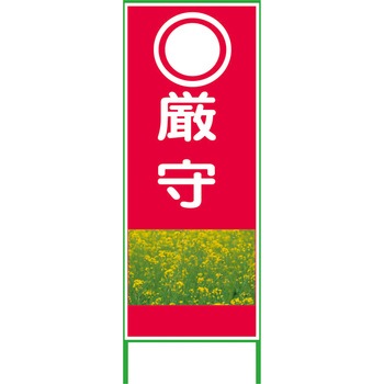 カラーイラストSL グリーンクロス