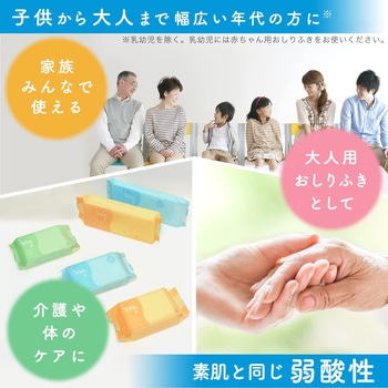 NursingCare 水99.9おしりふき 大人用 LEC(レック)