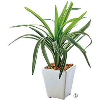 61-174-9-3 �~�j�O���[���|�b�g(�l�H����) �A�Y���� 74247976