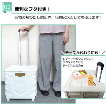 キャリーコンテナ センター商事