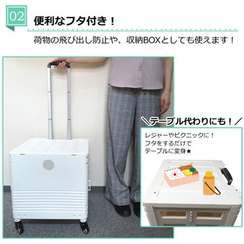 キャリーコンテナ センター商事