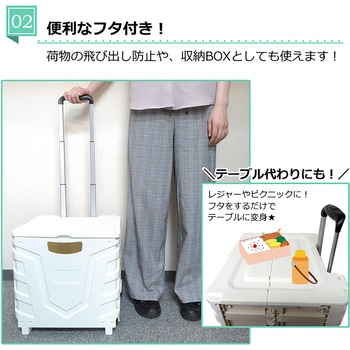 キャリーコンテナ センター商事