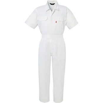 845 �����c�i�M�� DON(���}�^�J) �z���C�g�F �T�C�Y5L 74906697