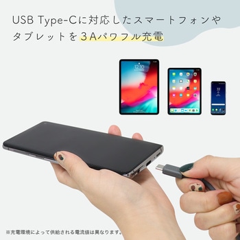 しなやかでやわらかいType-A to Type-C シリコンケーブル MOTTERU