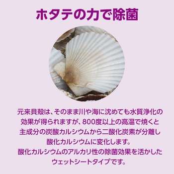 ワイペックス ホタテ除菌アルコールウェットシート20枚入30組 - ターナー色彩