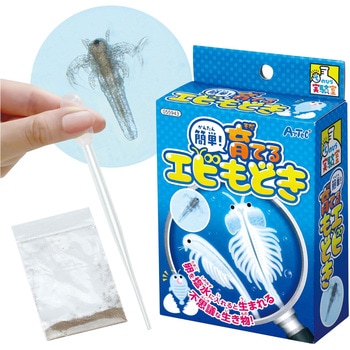 簡単!育てるエビモドキ アーテック(学校教材・教育玩具)