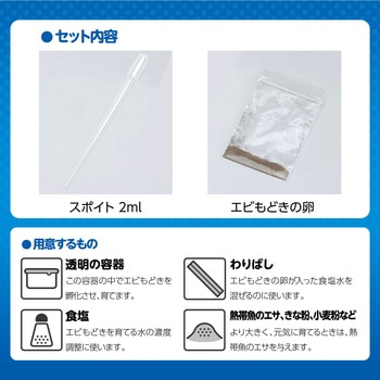 簡単!育てるエビモドキ アーテック(学校教材・教育玩具)