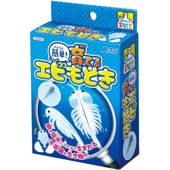 簡単!育てるエビモドキ アーテック(学校教材・教育玩具)