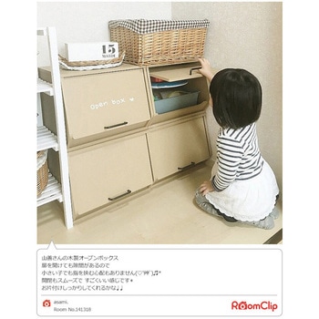 おうちすっきり収納ボックス フタ付き YAMAZEN(山善)