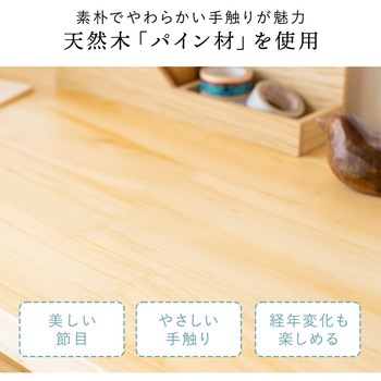 ラック サンワダイレクト