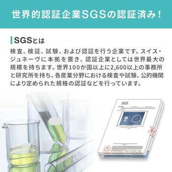 LANケーブル サンワダイレクト