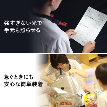 LEDライト サンワダイレクト
