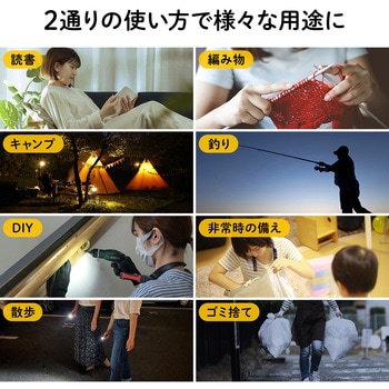 LEDライト サンワダイレクト