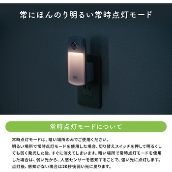 LEDライト サンワダイレクト