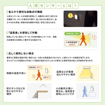 LEDライト サンワダイレクト