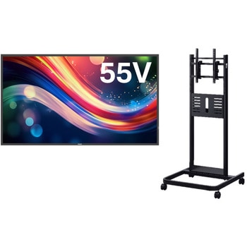 SECCHI_55BDL4050Q/11_PH-625B �t���f�B�X�v���C+�Ή��X�^���h+�z���ݒu�Z�b�g(�z���E�ݒu��ƁE�p�މ���܂ł̈ꊇ�T�[�r�X�t��) Philips 75151670