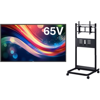 SECCHI_65BDL4050Q/11_PH-627B �t���f�B�X�v���C+�Ή��X�^���h+�z���ݒu�Z�b�g(�z���E�ݒu��ƁE�p�މ���܂ł̈ꊇ�T�[�r�X�t��) Philips 75151679