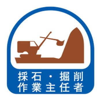 ヘルメット用シール 東洋物産工業(旧トーヨーセフティー)