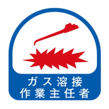 ヘルメット用シール 東洋物産工業(旧トーヨーセフティー)