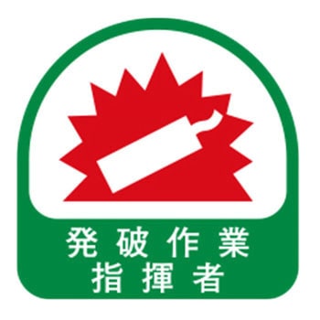 ヘルメット用シール 東洋物産工業(旧トーヨーセフティー)