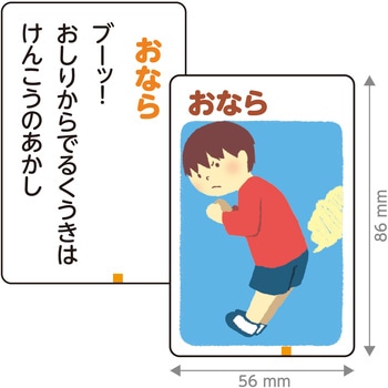 これはなんの音?かるた - アーテック[学校教材・教育玩具]