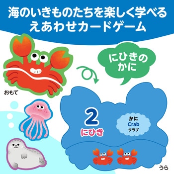海のいきものえあわせカードゲーム アーテック
