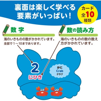 海のいきものえあわせカードゲーム アーテック