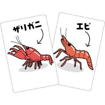 そっくりメモリーカード アーテック[学校教材・教育玩具]