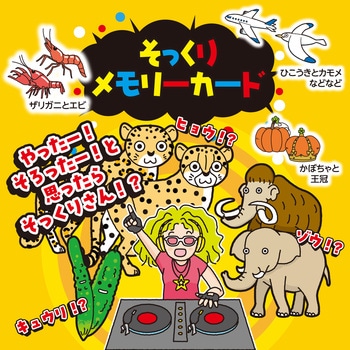 そっくりメモリーカード - アーテック[学校教材・教育玩具]