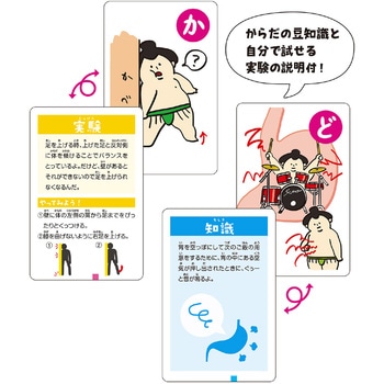 からだの不思議かるた アーテック