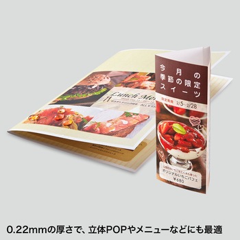 用紙 - サンワサプライ