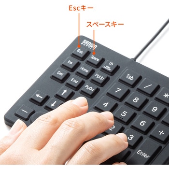 テンキー サンワサプライ