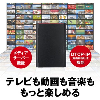 リンクステーション LS220DGシリーズ ネットワークHDD 2ベイ 12TB BUFFALO(バッファロー)