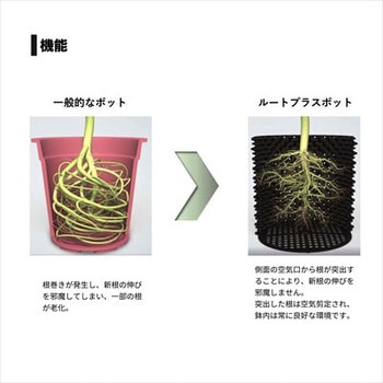 ルートプラスポット(エアープルーニングコンテナ) 南榮工業