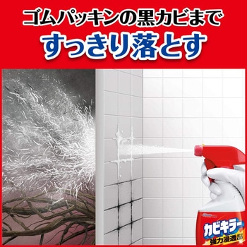 カビキラー 業務用 ジョンソンプロフェッショナル