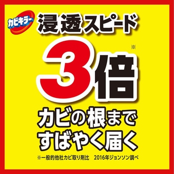 カビキラー 業務用 ジョンソンプロフェッショナル