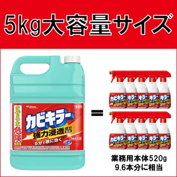 カビキラー 業務用 ジョンソンプロフェッショナル