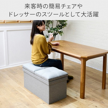収納スツール YAMAZEN(山善)