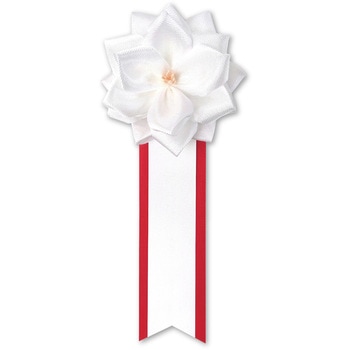 38-3242 �L�� �o�� �� 1��(20����) �T�T�K�� 75270049