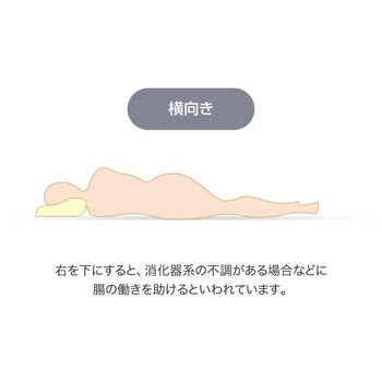 SLEEple 整体師さんが推奨する メディキュアピロー ファミリー・ライフ