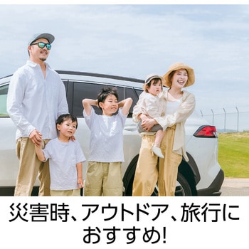 持ち運び簡単 エアー枕 - アーテック[学校教材・教育玩具]