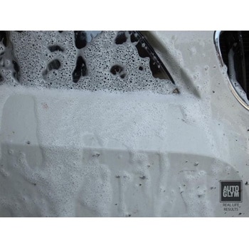 虫取りクリーナー アクティブ・インセクト・リムーバー AUTOGLYM