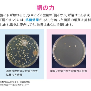 これカモ シンク用 銅製ゴミカゴ 排水口のゴミ受け (抗菌効果 ヌメリ・臭い防止 衛生的) GAONA(ガオナ)