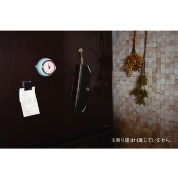 スライドフォルダーポイット カード12P ナカバヤシ