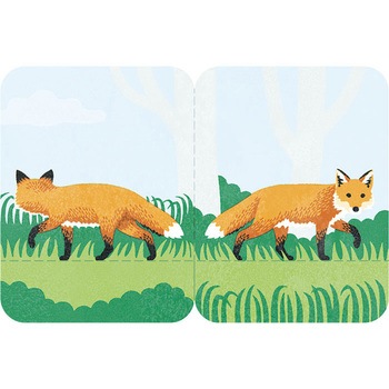 3580-004 �t�^�}�^�t�Z�� �C���X�g�^�C�v �L���O�W�� 75356086