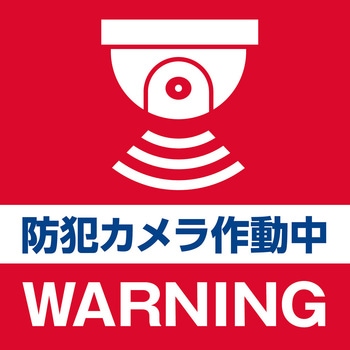 ダミーカメラ ドーム型 ブラック 防何対策 配線不要 乾電池式 赤色LED搭載 防犯ステッカー付属 セキュリティ ELPA