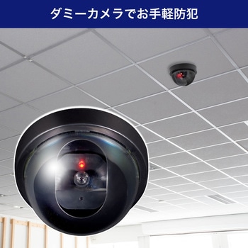 ダミーカメラ ドーム型 ブラック 防何対策 配線不要 乾電池式 赤色LED搭載 防犯ステッカー付属 セキュリティ ELPA