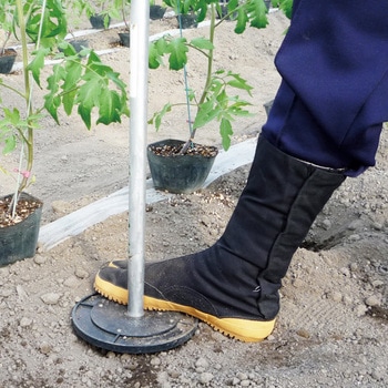 NEW定植ホールズ ナスニックス