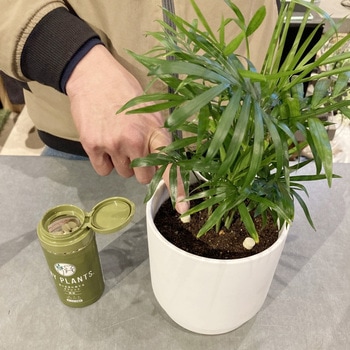 MY PLANTS 長く丈夫に育てるタブレット 住友化学園芸