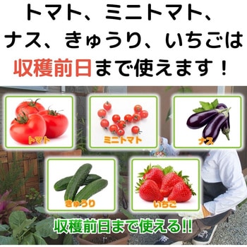 パイベニカVスプレー 住友化学園芸